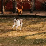 Snickers 616093902800119