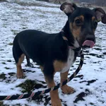 13062/28/25 Tango  - data przyjęcia - 10.02.2025