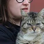 Kot do adopcji, Grudziądz, 23 kwietnia 2024