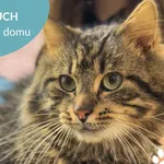 Duch