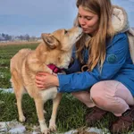 Oddam psa, Dorotowo, 25 lutego 2025