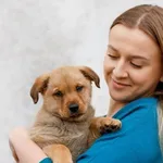 Pies do adopcji, Elbląg, 26 lutego 2025