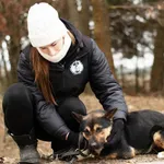 Pies do adopcji, Nowodwór, 28 lutego 2025