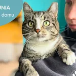 Niunia
