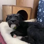 13071/28/25  Bing - data przyjęcia - 05.03.2025