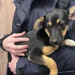 13073/39/25 Mona - data przyjęcia - 11.03.2025