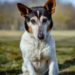 27.02.2025 - Mleczna