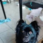 20.01.2025 - Nowa Wola Gołębiowska