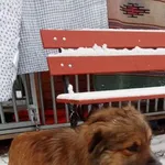 15.02.2025 - Klwatecka