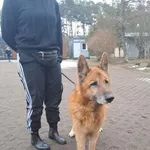 03.02.2025- Chłodna