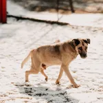 Kobi 616093903032121