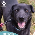 Denver