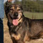 Oddam psa, Włocławek, 27 marca 2025