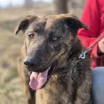 Blum - młody, wesoły, pełen energii i życia! 