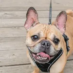 Mela 130/2025 REZERWACJA