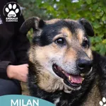 Milan