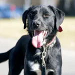 Szymon - ur.ok. 01.01.2023r.