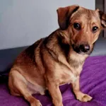 Jeszcze Nie Wie, Że Wali Się Jego Świat😭