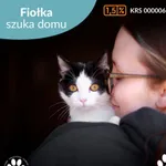 Kot do adopcji, Starogard Gdański, 7 kwietnia 2025