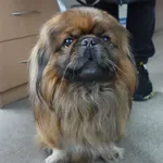 ODEBRANY PRZEZ WŁAŚCICIELA