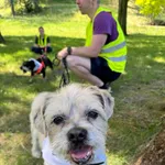 12948/162/24  Arnold  - data przyjęcia - 28.08.2024