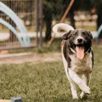 Diego 616093903027124