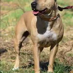 Chloe/Kloi