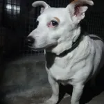 PIEZ Z INTERWENCJI 12.05.2025