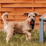 Morusek 616093903032302