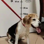 13125/91/25  data przyjęcia - 27.05.2025