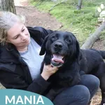 Mania