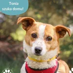 Tonia