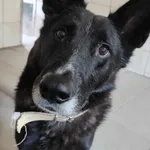 Włóczykij 549/2022