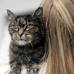 Julia Roberts 180/2025