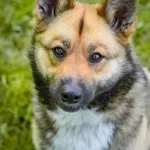 15.04.2025 - Kielecka / 012500163