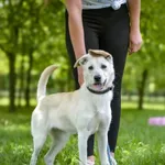 15.05.2025 -  Kosowska / 012500227