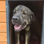 01.04.2025 - Witosa / 012500143