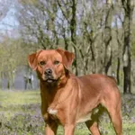 10.04.2025 - Królewska / 012500158