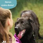 Neron