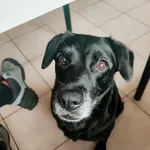 12.05.2025 - Orląt Lwowskich / 012500221