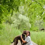 Znaleziono psa, Sosnowiec, 8 maja 2025