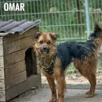 Omar