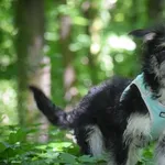 suczka DEJZI rezerwacja