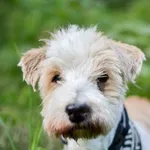 Jorguś 258/2025 REZERWACJA