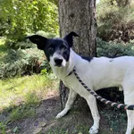 13159/125/25 Mrówcio data przyjęcia - 30.06.2025