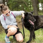 Pies do adopcji, Nowodwór, 8 lipca 2025
