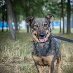 Zula