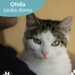 Ofelia