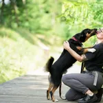 Dżeki 307/2025 REZERWACJA