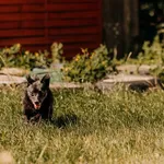 Poker 616093903032433